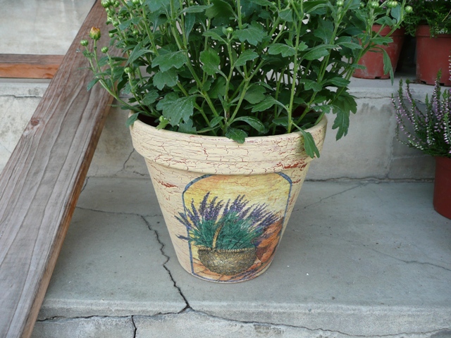 P1010005.JPG